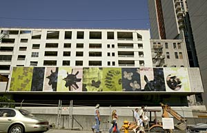 The Mechanics of Flowering