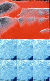 Torso/Pool: Warhol/Hockney